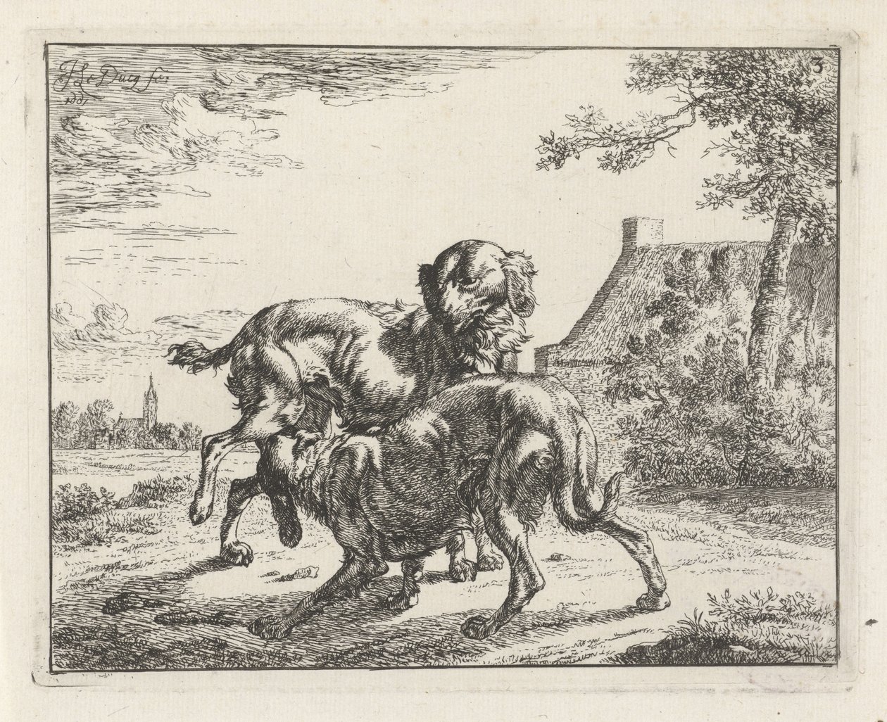 Chien et chienne - Johan le Ducq