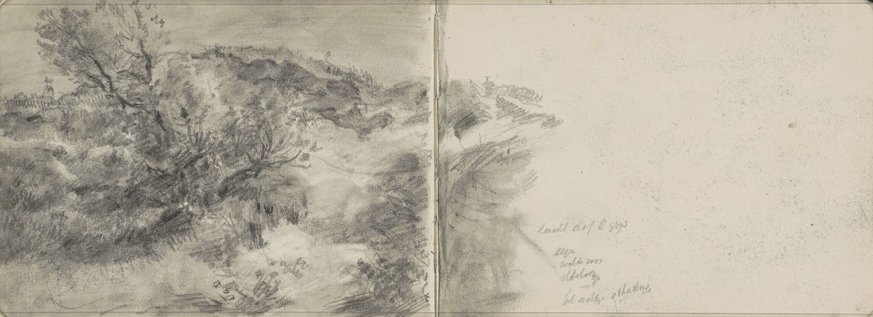 Paysage de dunes - Johan Antonie de Jonge