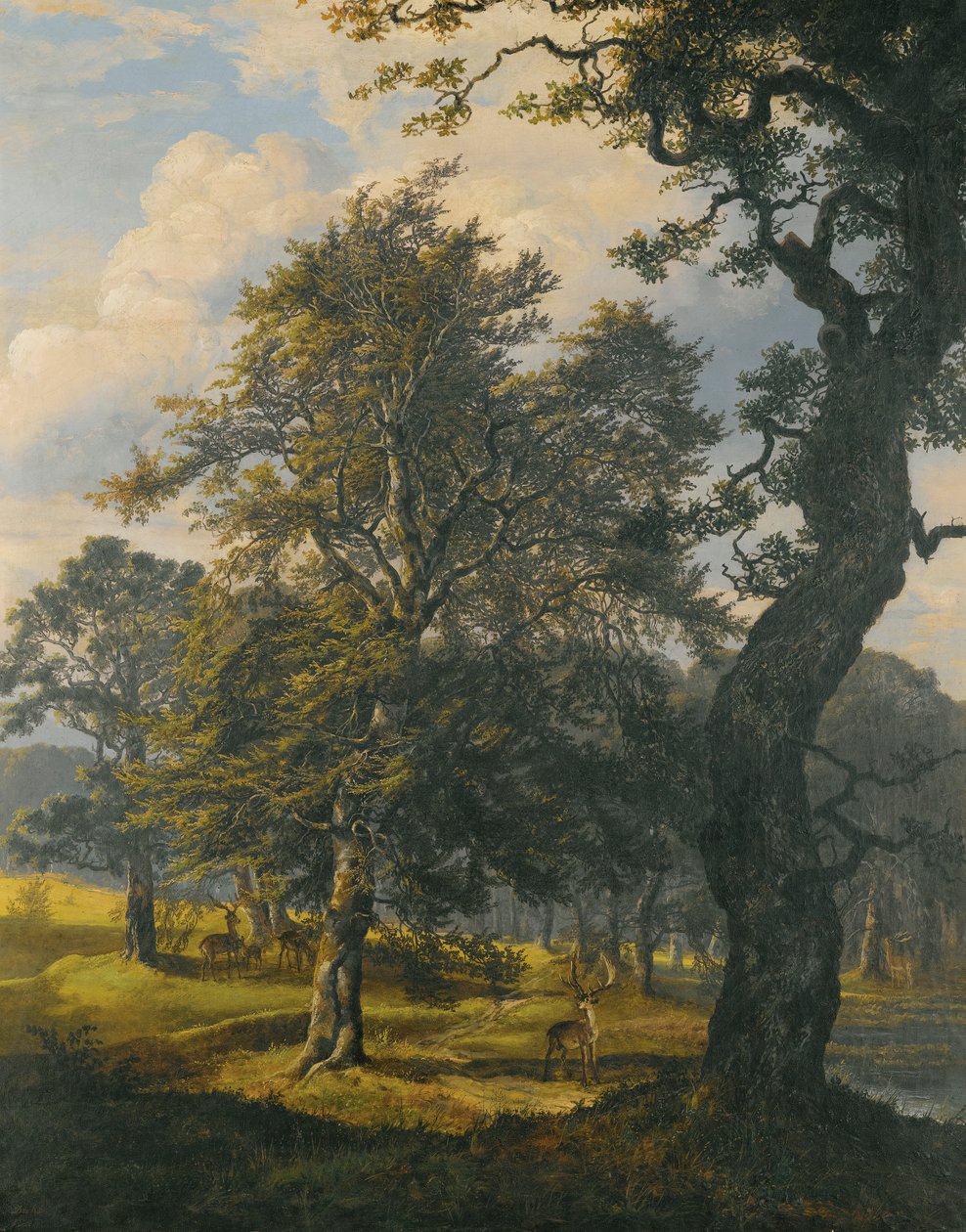 Dyrehaven près de Copenhague - Johan Christian Dahl