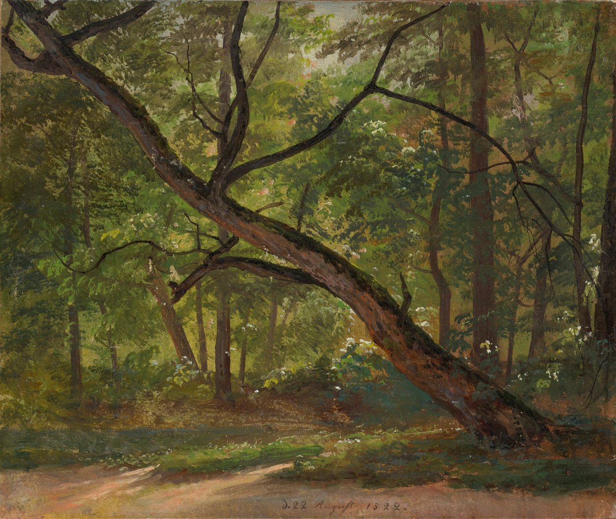 Partie dans le Grand Jardin près de Dresde - Johan Christian Dahl