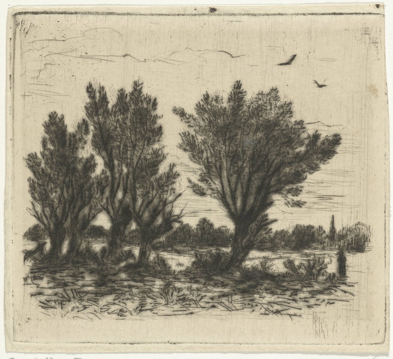 Rangée de saules - Johan Frederik Croockewit