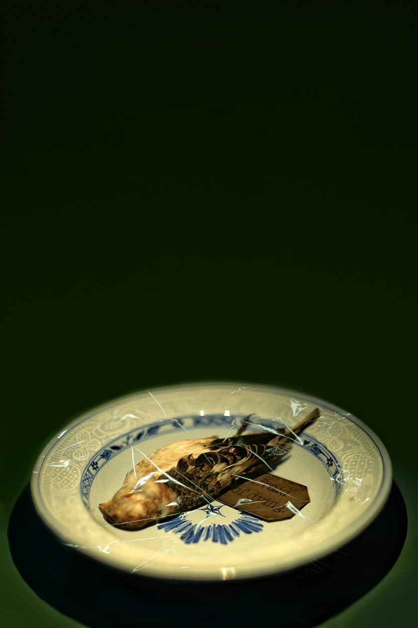 Assiette d