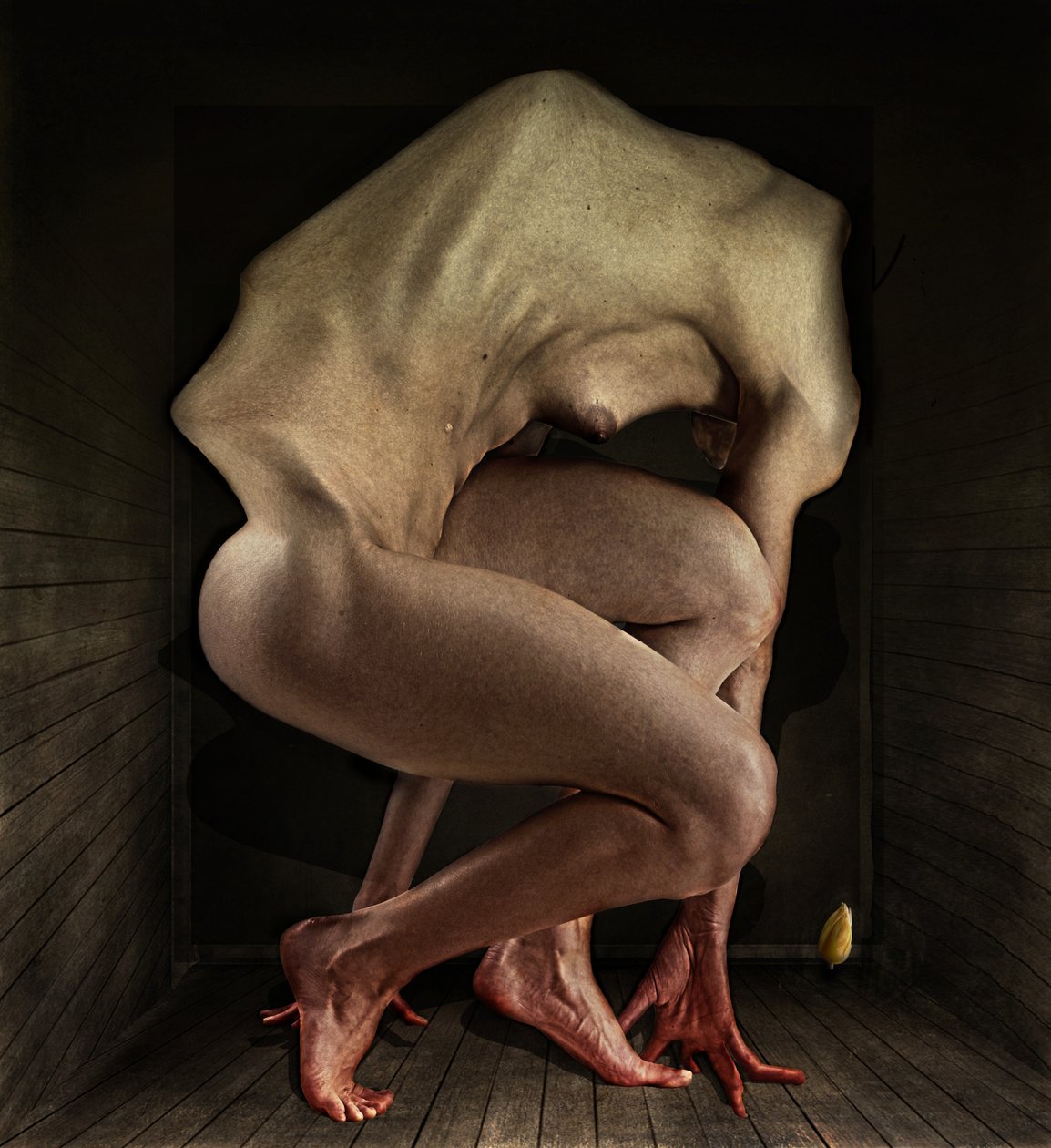 Honte - Johan Lilja