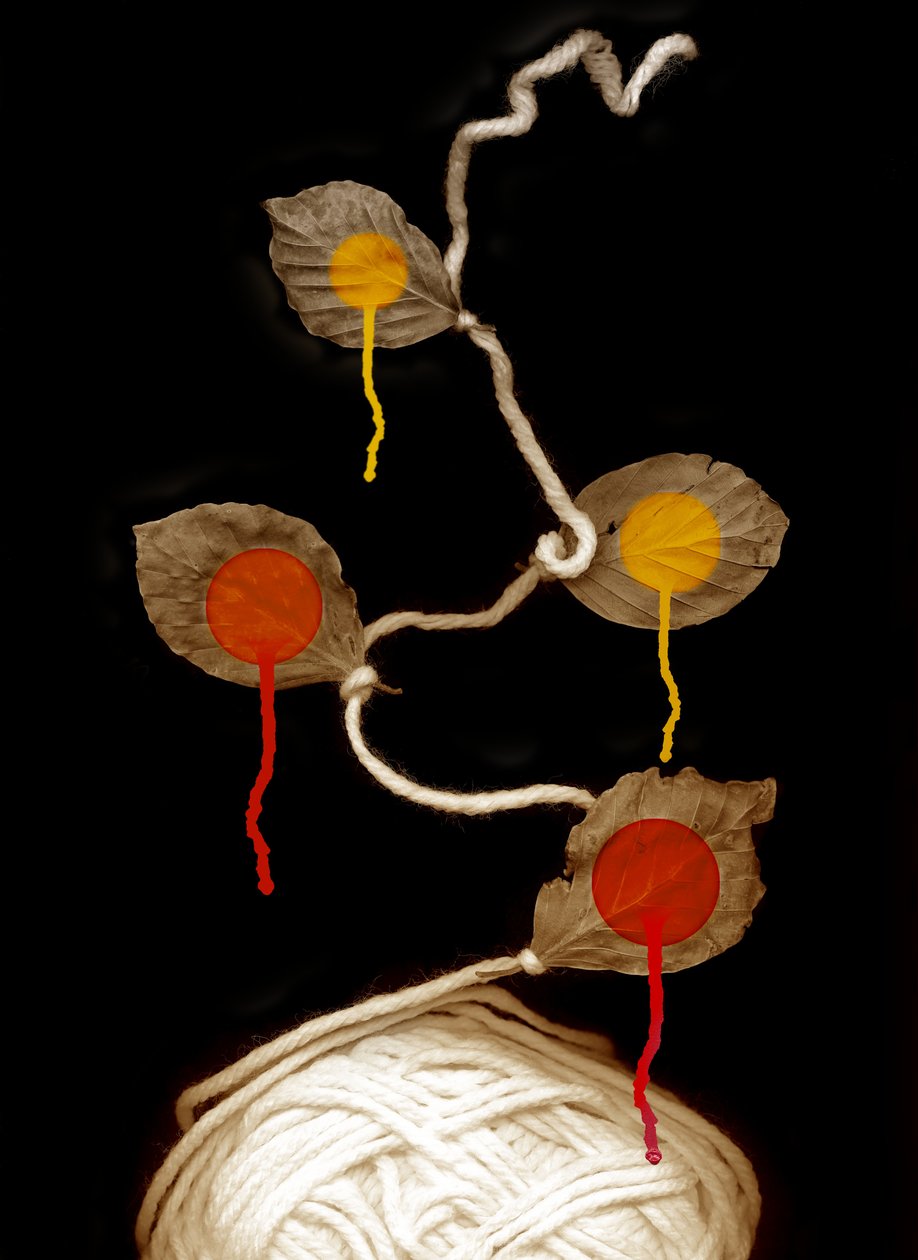 Fleur de fil, 2013 - Johan Lilja