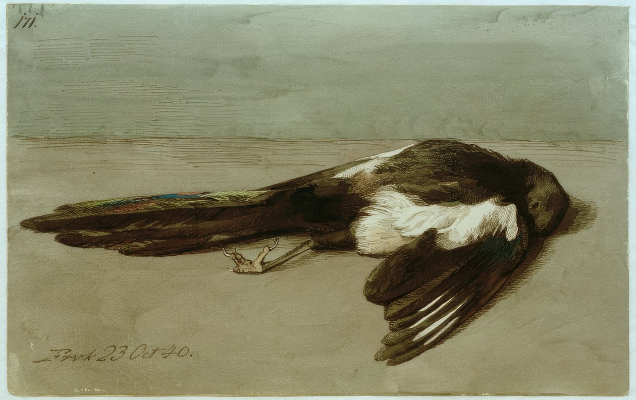 Une pie morte - Johan Thomas Lundbye