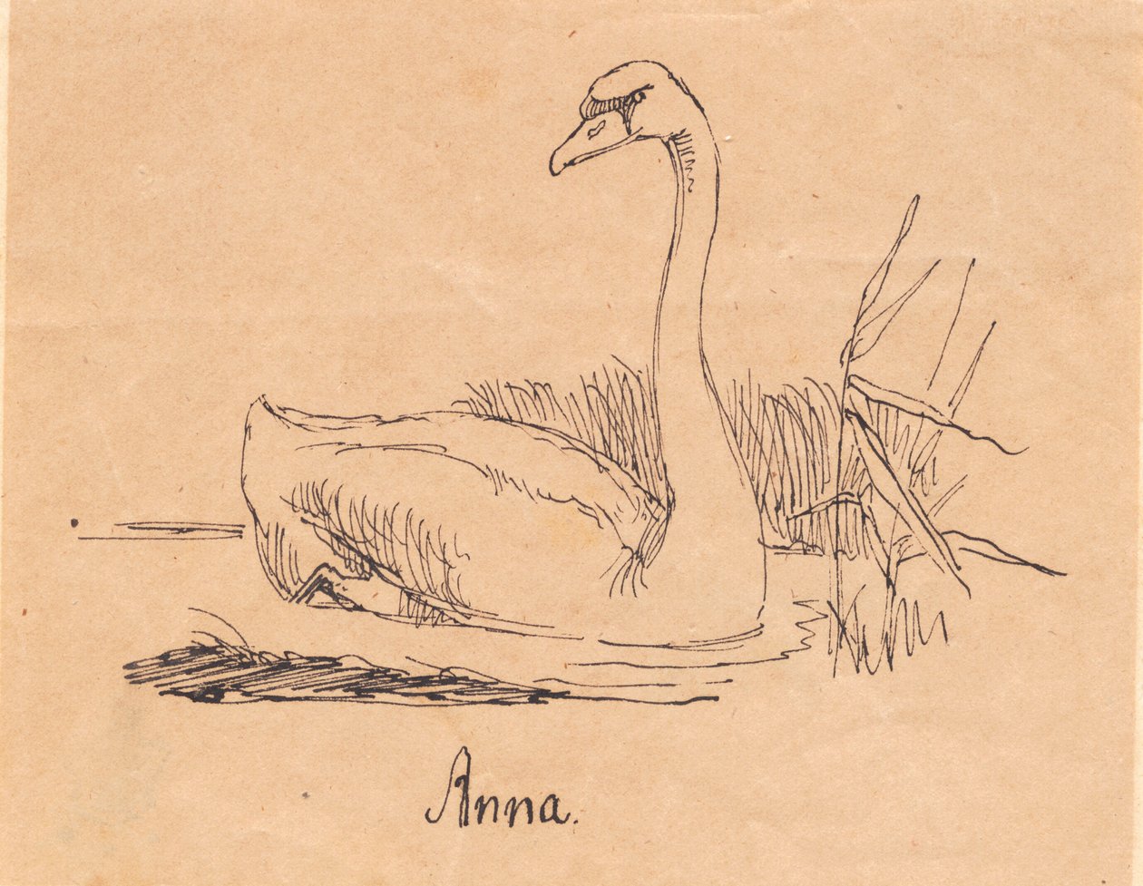 Un cygne - Johan Thomas Lundbye