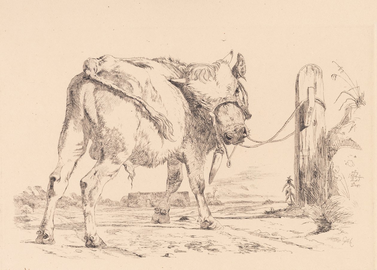 Un veau attaché à un poteau - Johan Thomas Lundbye