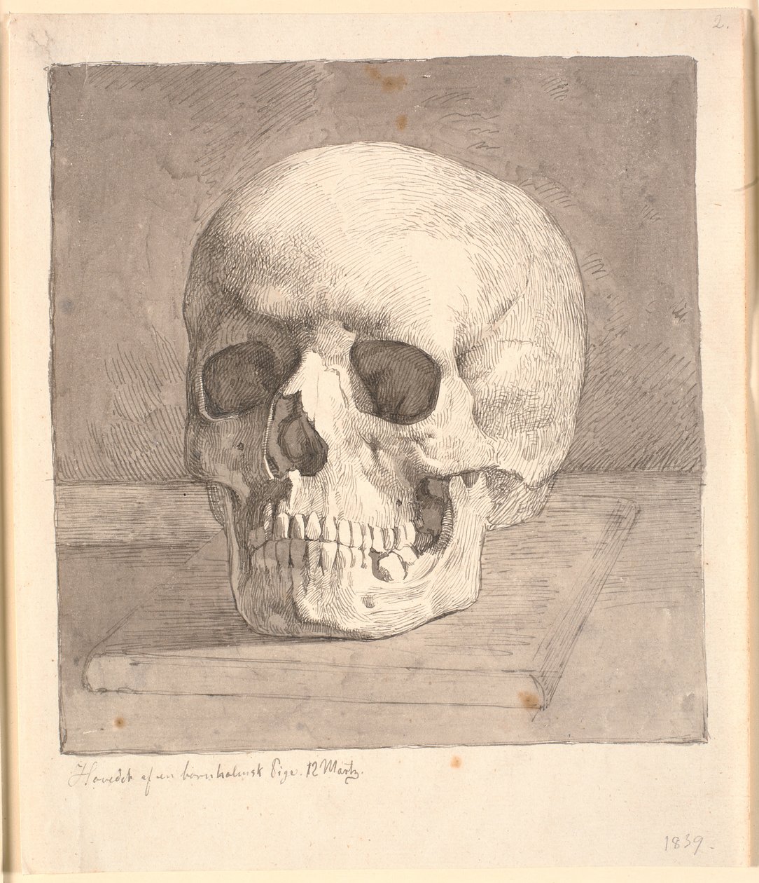 Crâne, vue de face - Johan Thomas Lundbye