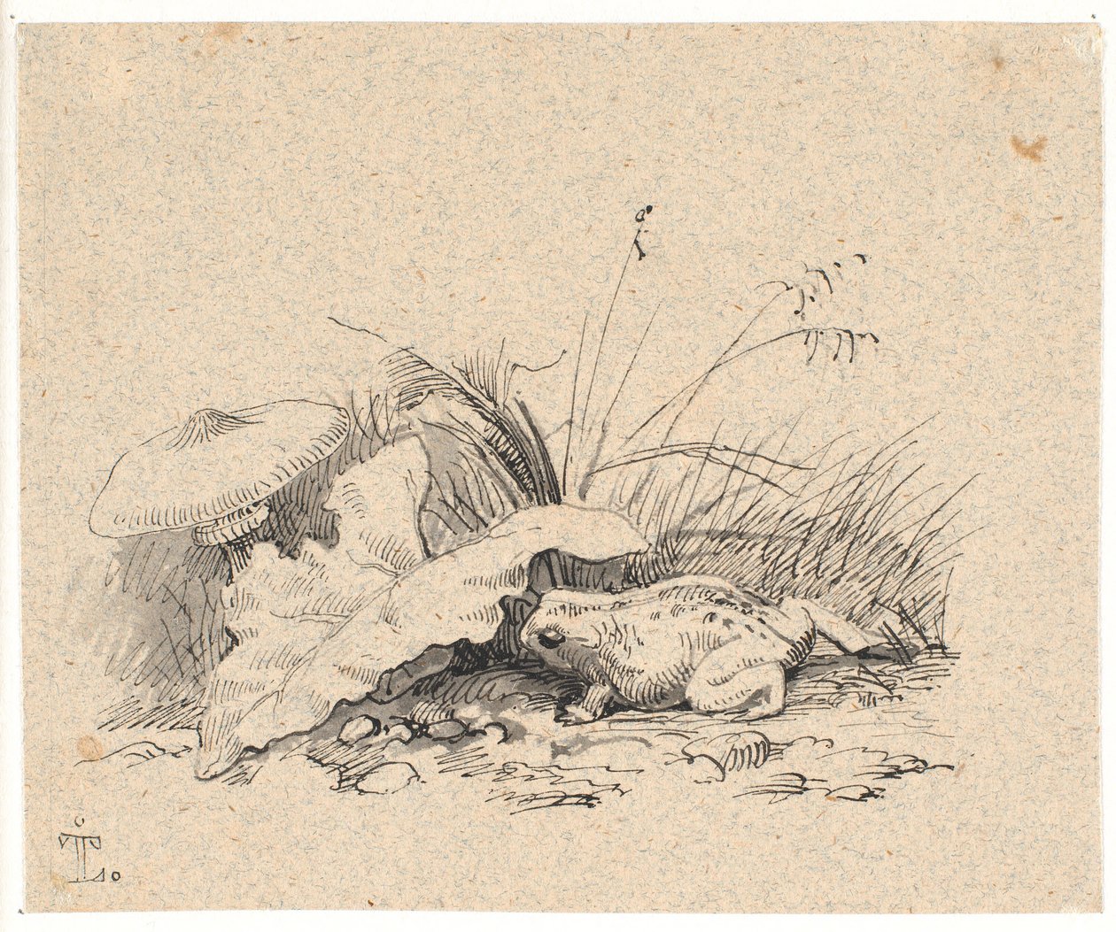 Crapaud - Johan Thomas Lundbye