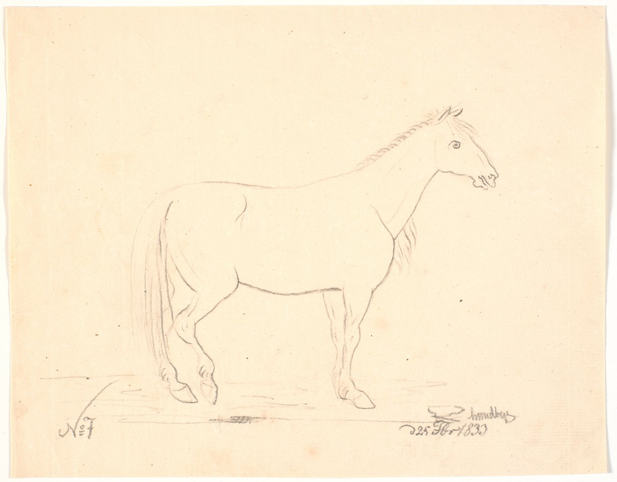 Cheval debout de profil à droite - Johan Thomas Lundbye