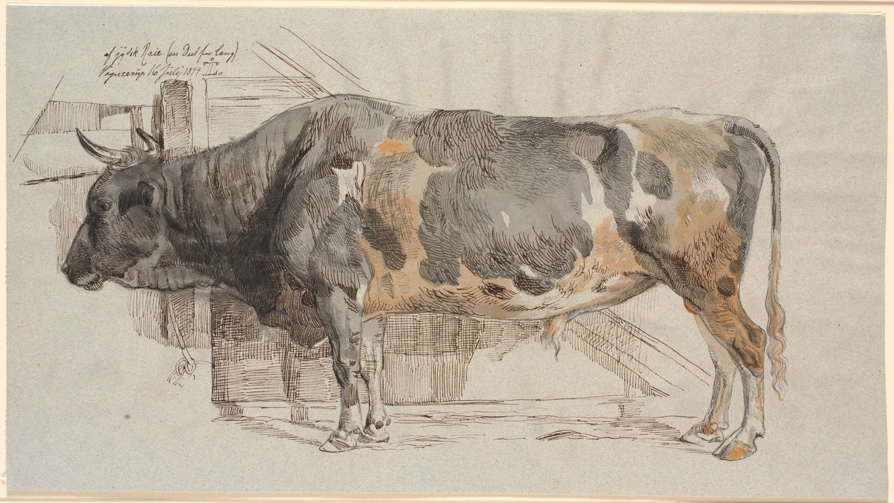 Taureau debout dans son enclos - Johan Thomas Lundbye