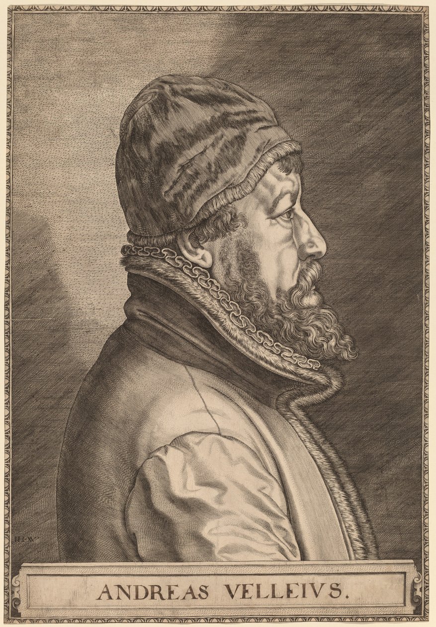 Andreas Velleius (Anders Sorensen Vedel) - Johan Wierix