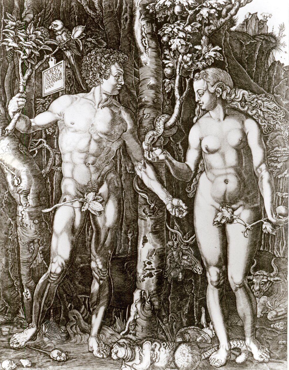 Adam et Ève, d