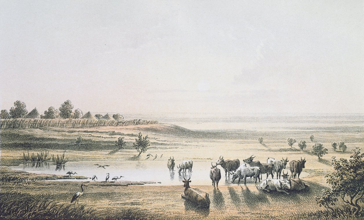 Les Frontières du Tchad en 1851, de 
