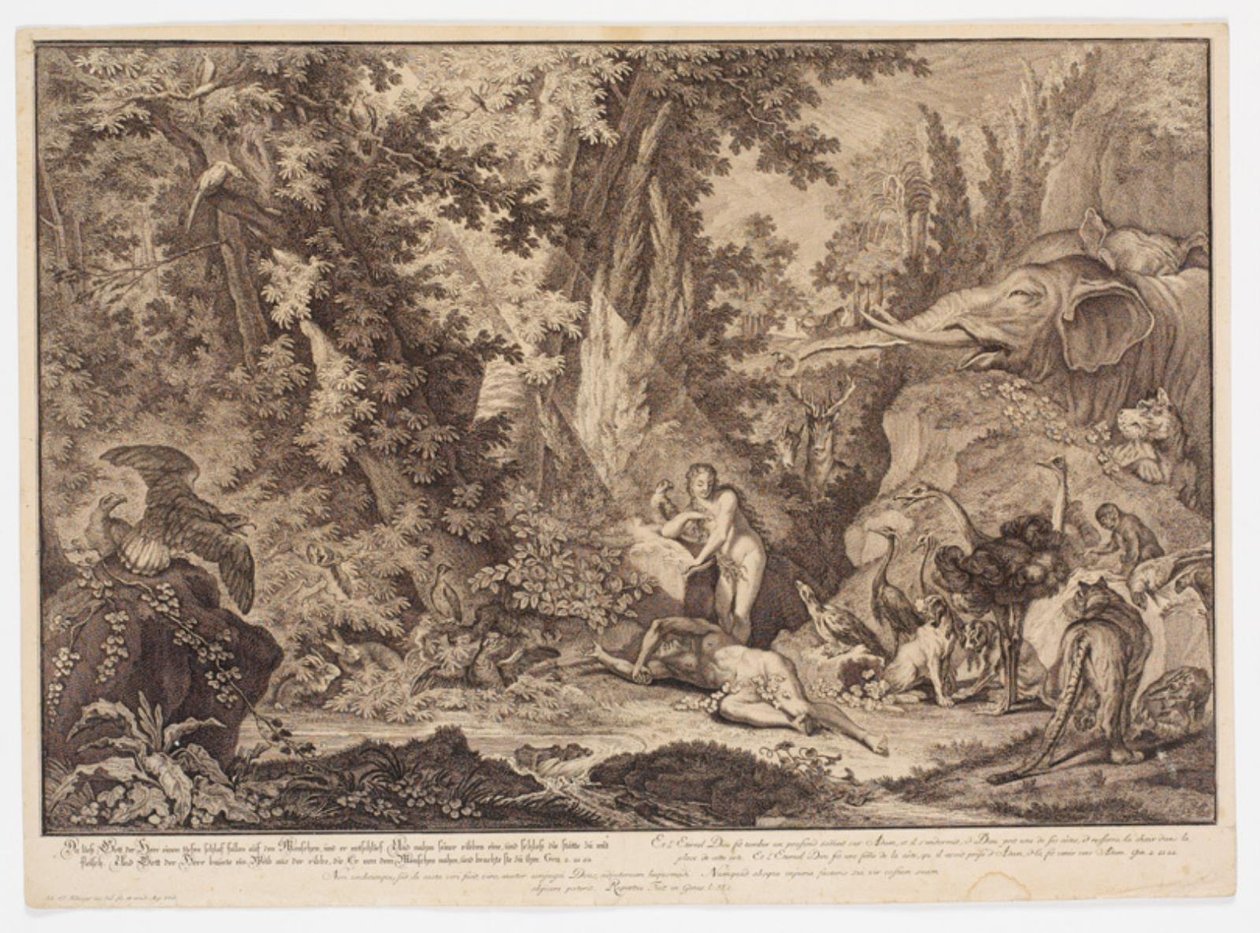 La création d