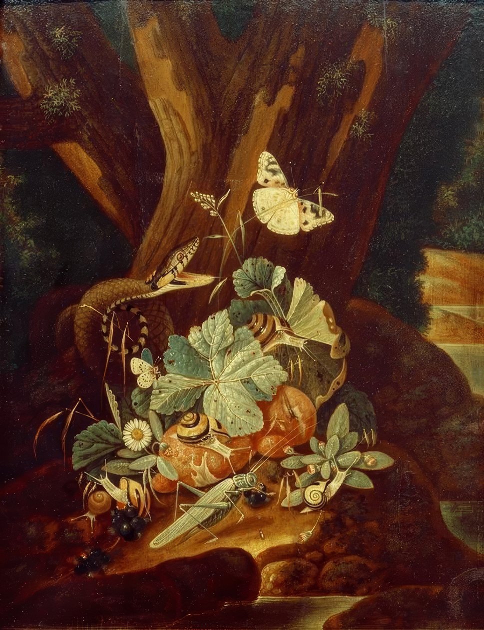 Insectes, escargots et serpent - Johann Falch