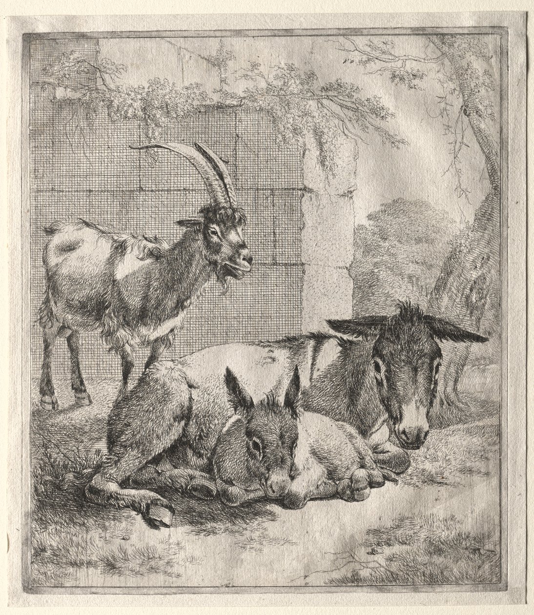 Chèvre et Ânes - Johann Heinrich Roos