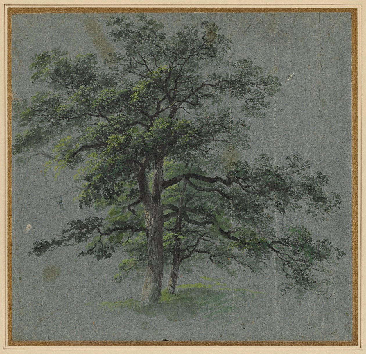 Deux arbres (recto) - Johann Jacob Dorner