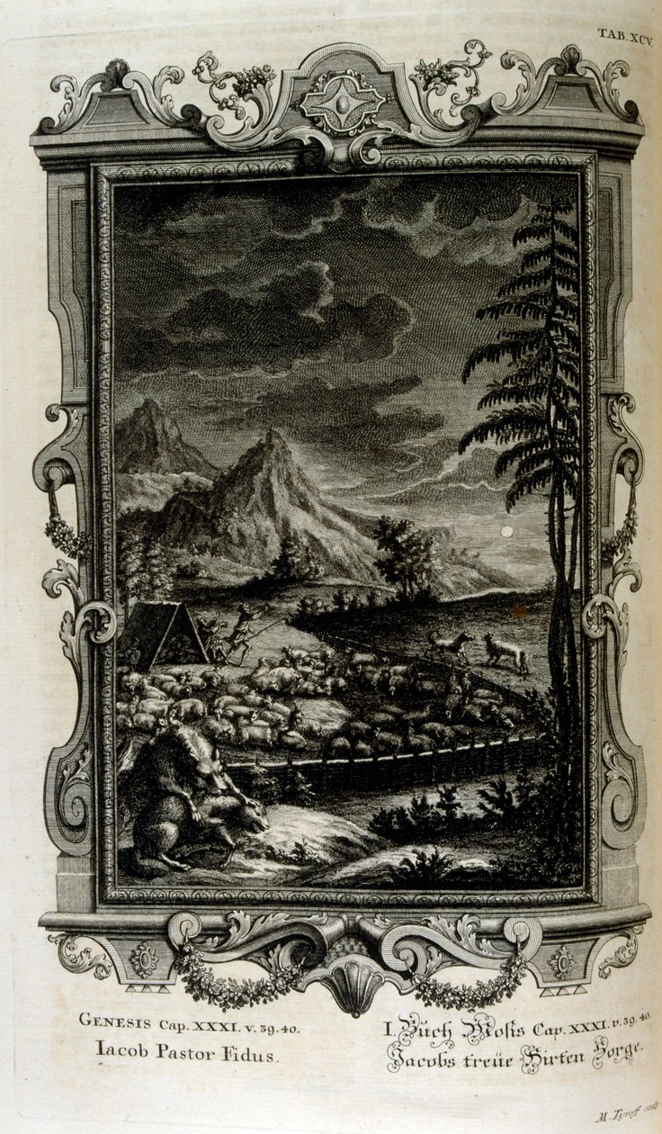 Champs de Jacob - Johann Jakob Scheuchzer