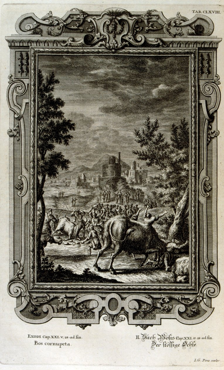 Sacrifice de taureaux sauvages - Johann Jakob Scheuchzer