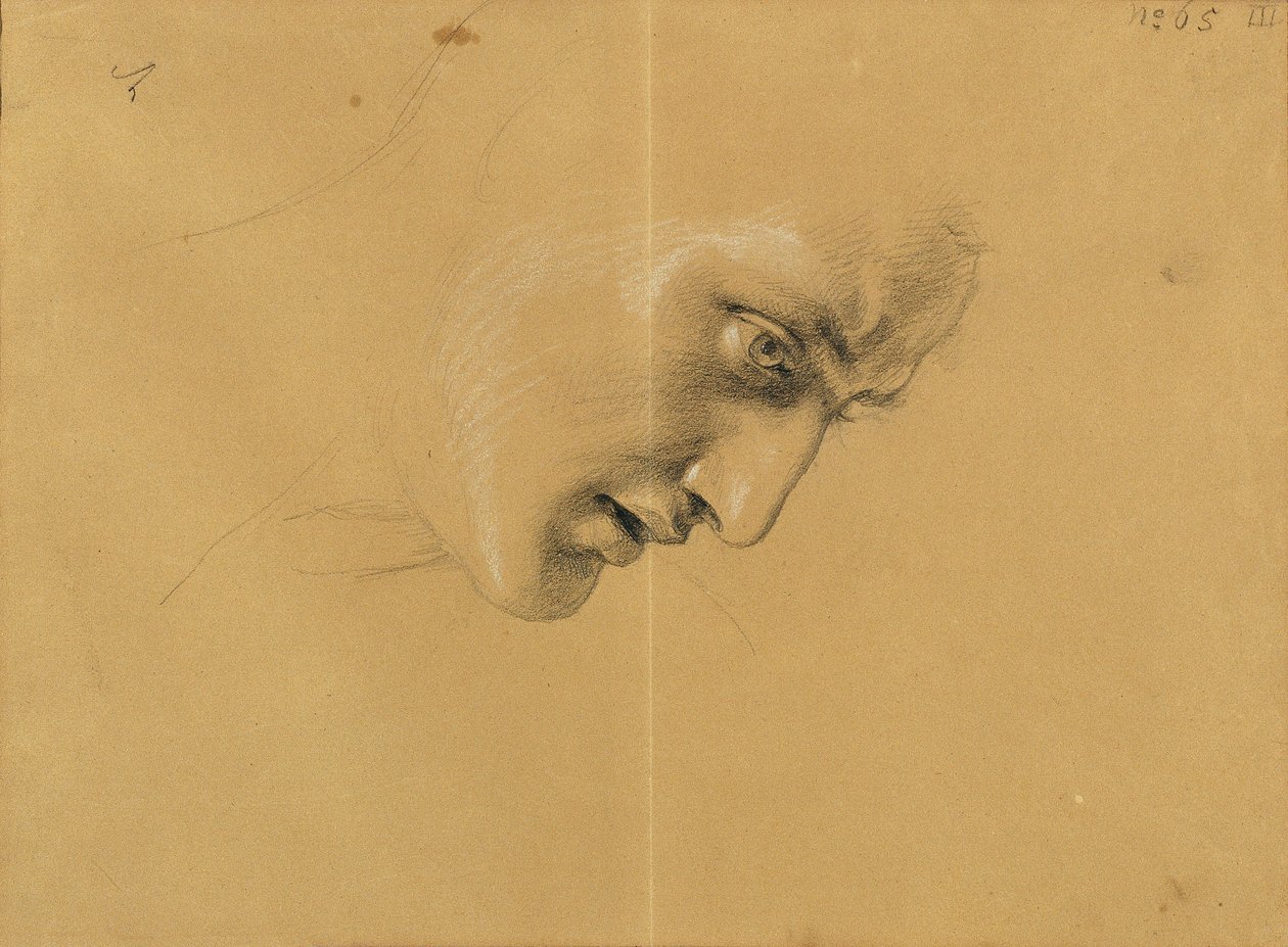 Étude de tête - Johann Peter Krafft