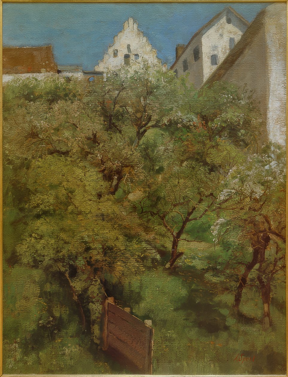 Floraison des Arbres sous l