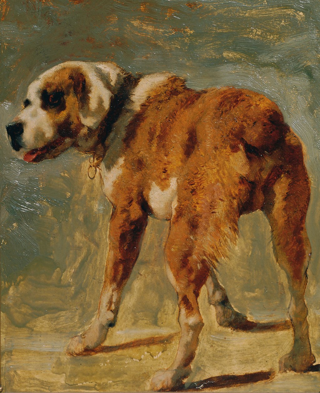 Saint-Bernard - Johann  Till der Jüngere