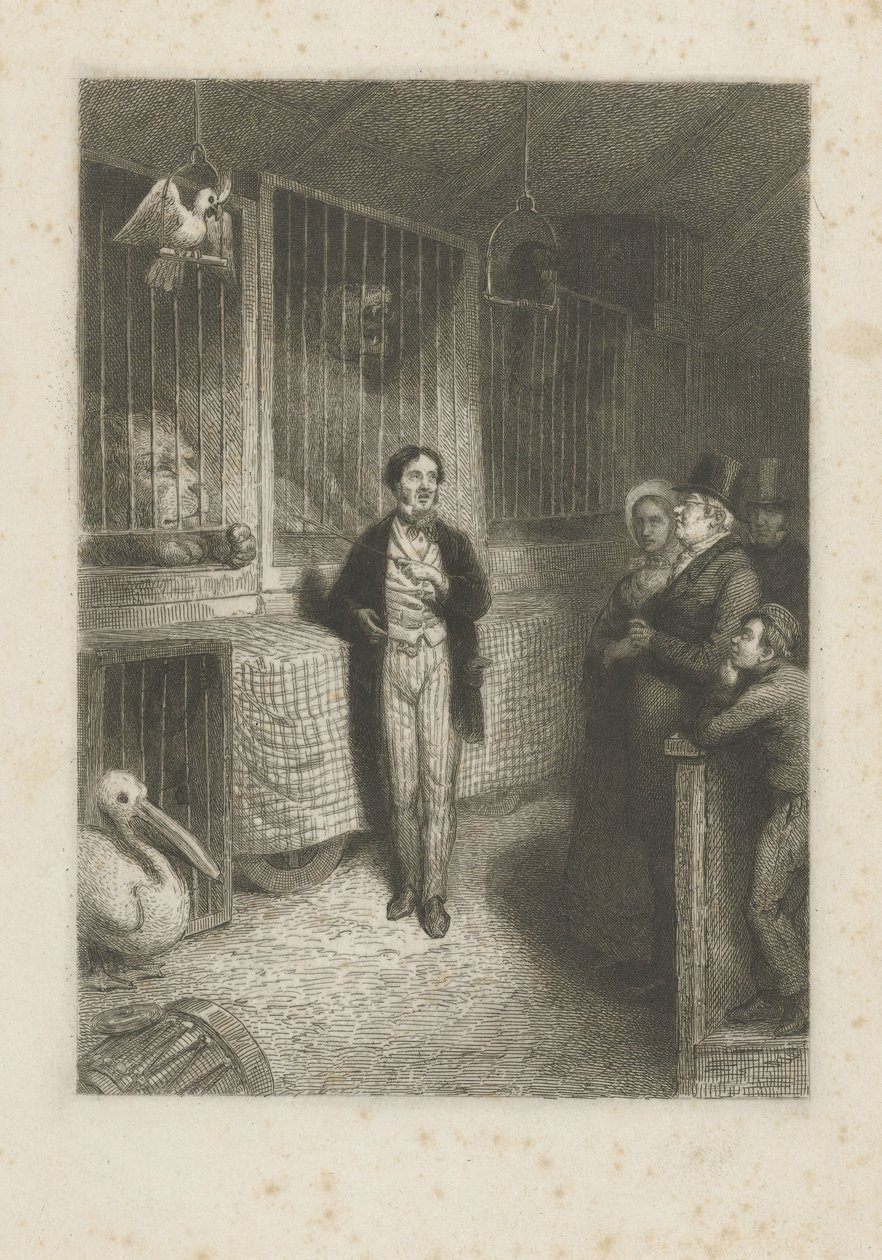 Animaux regardant - Johann Wilhelm Kaiser (I)