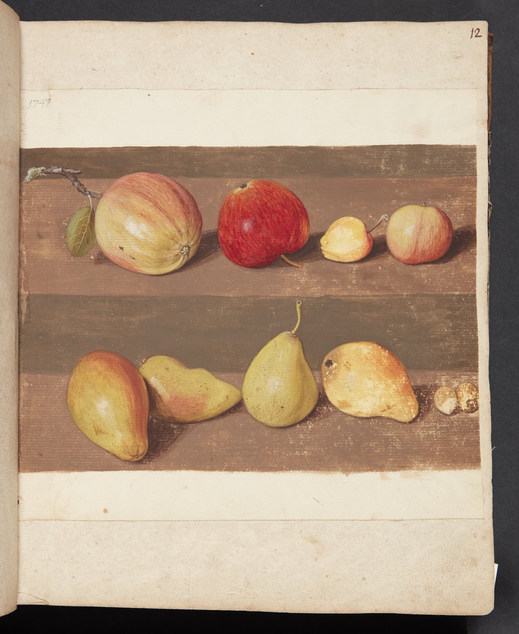 Étude de pommes et de poires - Johanna Fosie