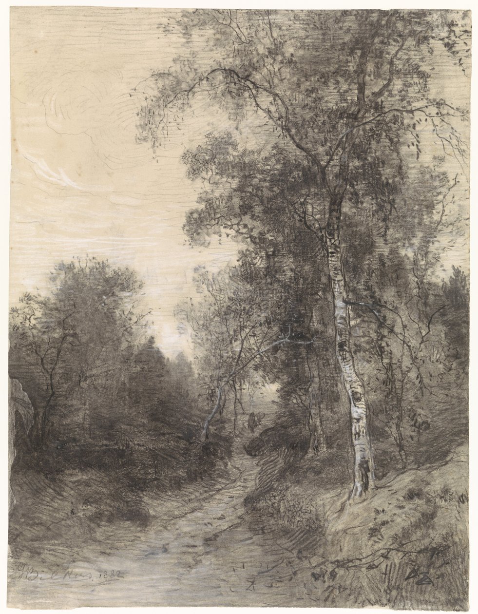 Vue dans la forêt - Johannes Warnardus Bilders