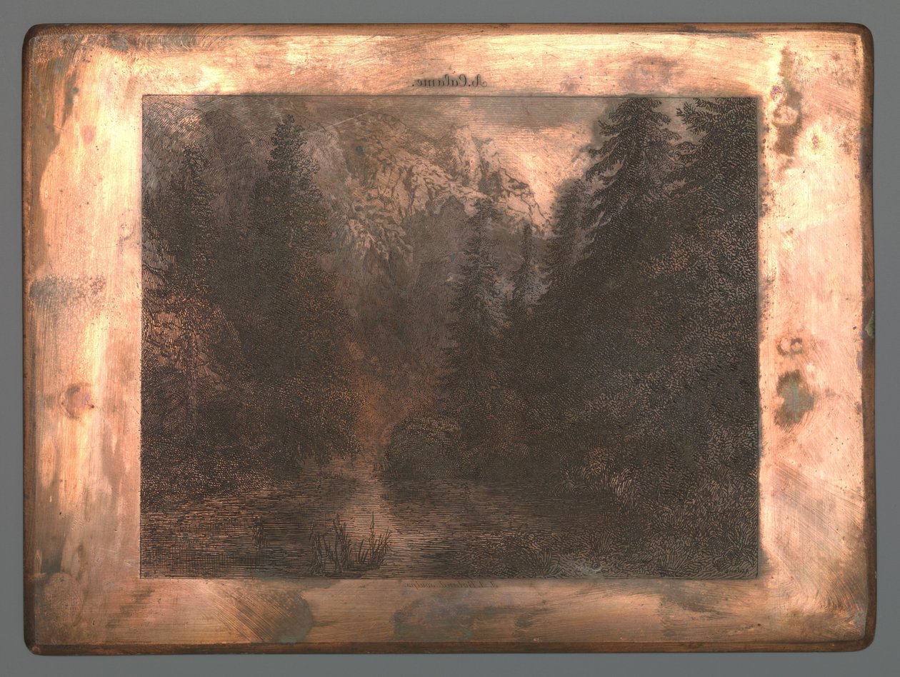 Rivière de montagne entre les arbres - Johannes Arnoldus Boland