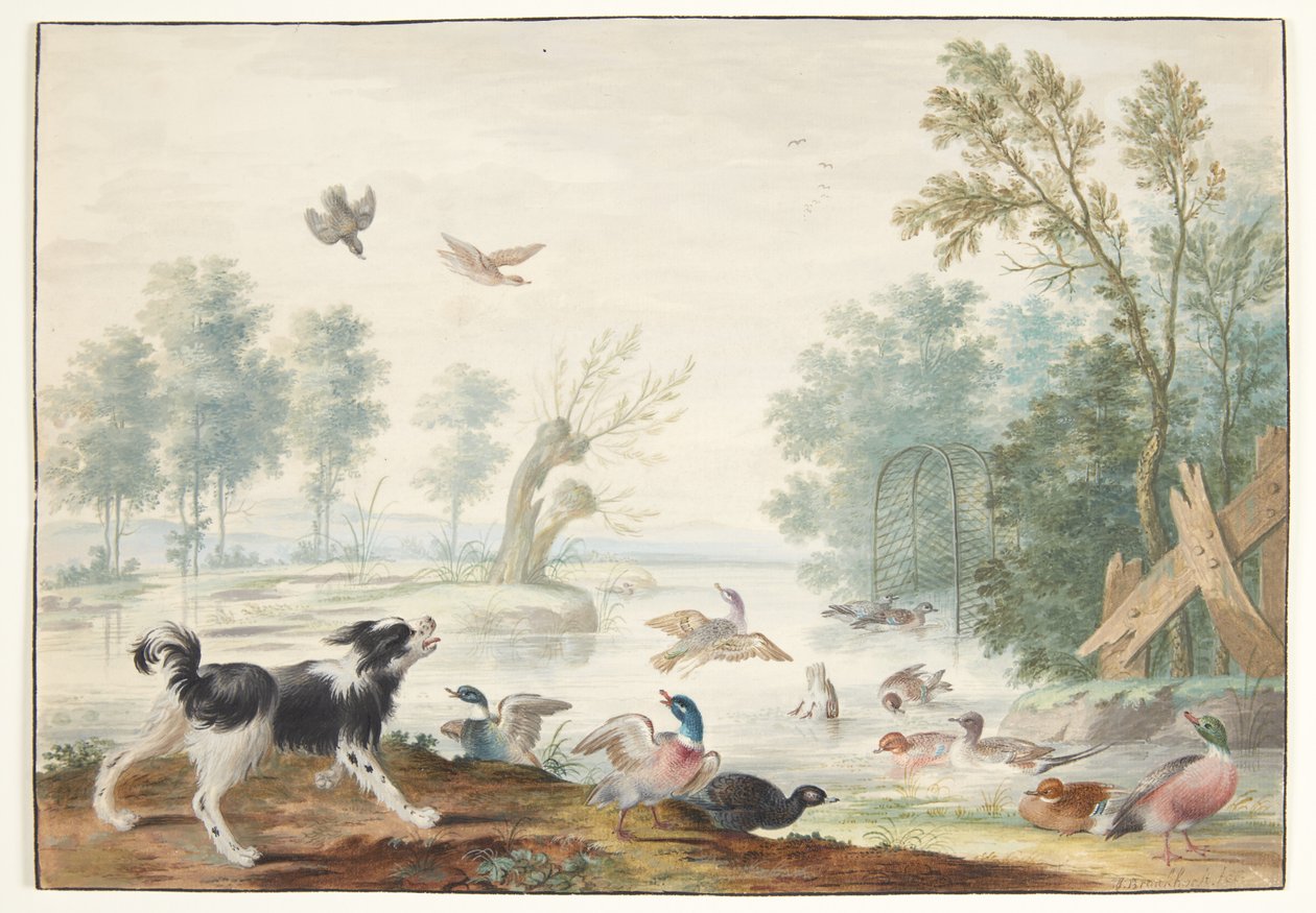 Un chien et des canards près d