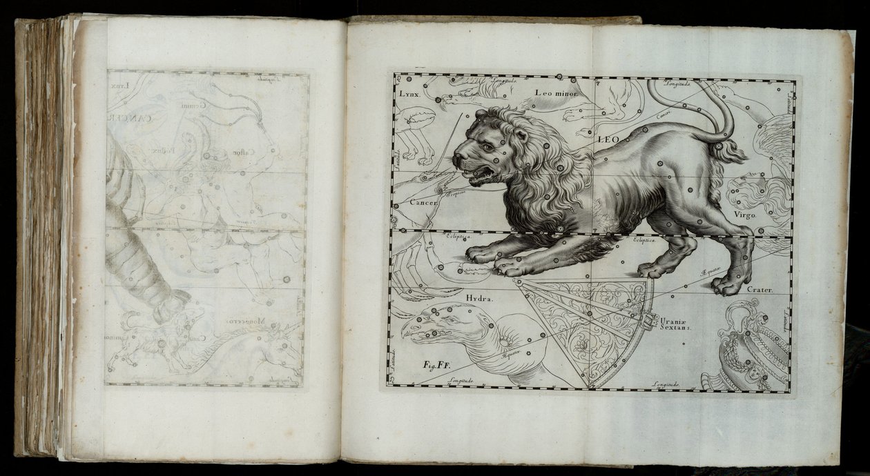 Léon (constellation), de "Prodromus astronomiae" - Johannes Hevelius