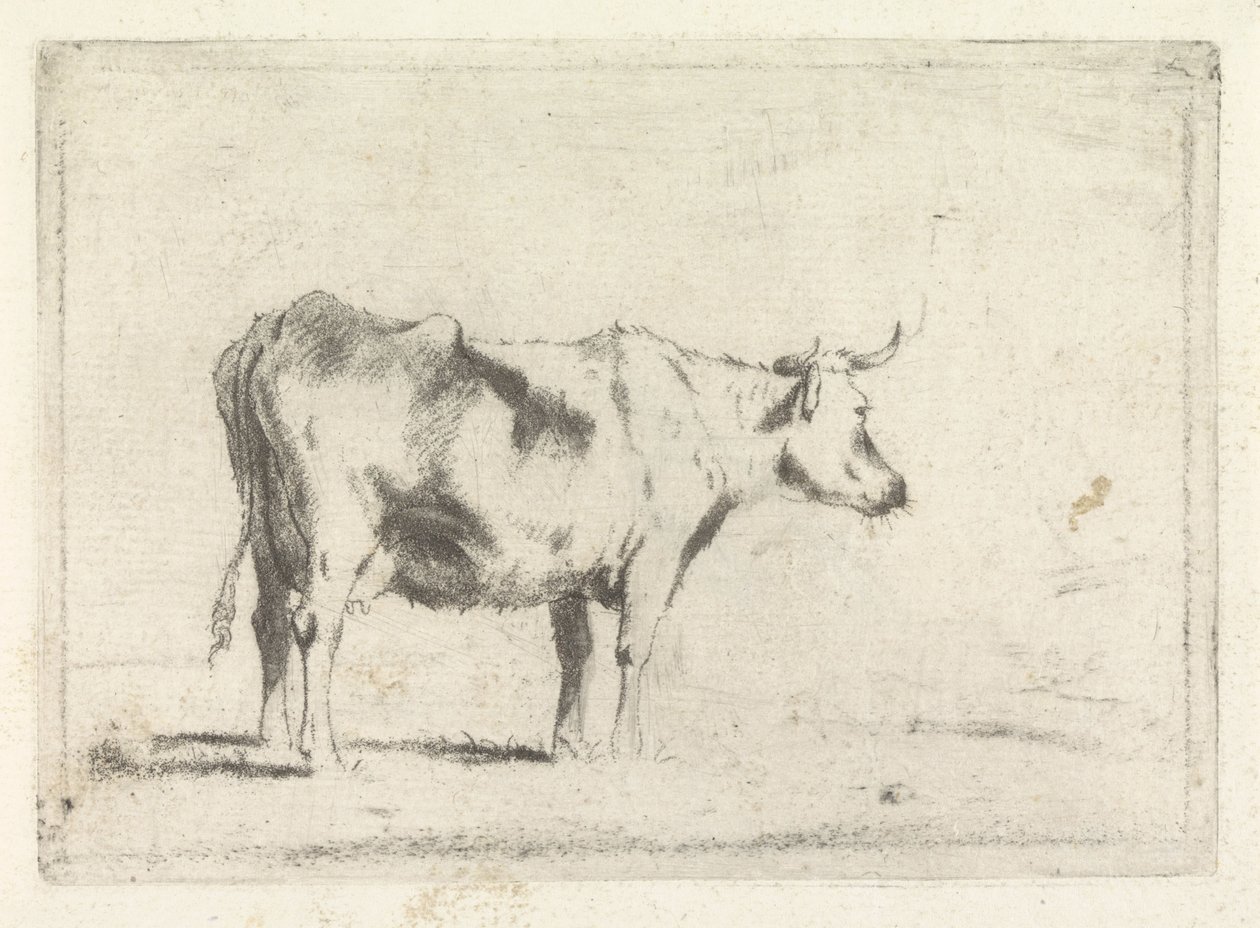 Vache, vers la droite - Johannes Janson (possibly)