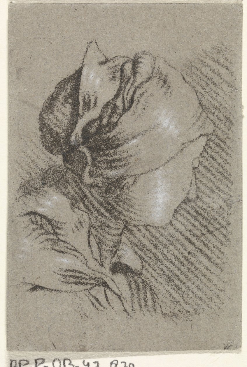Buste de femme - Johannes Janson (possibly)