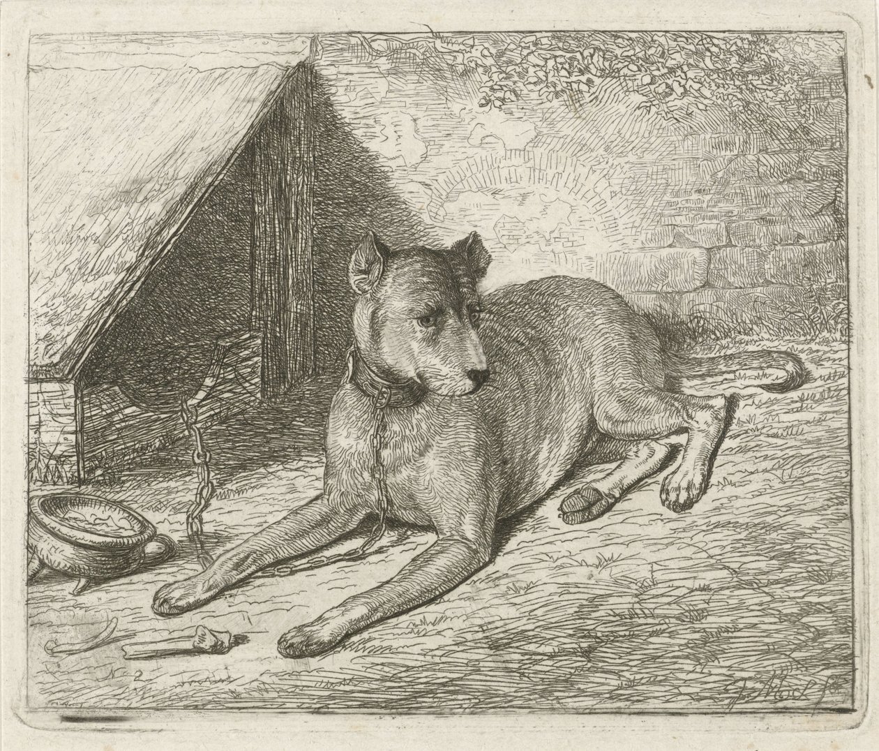 Chien enchaîné près d