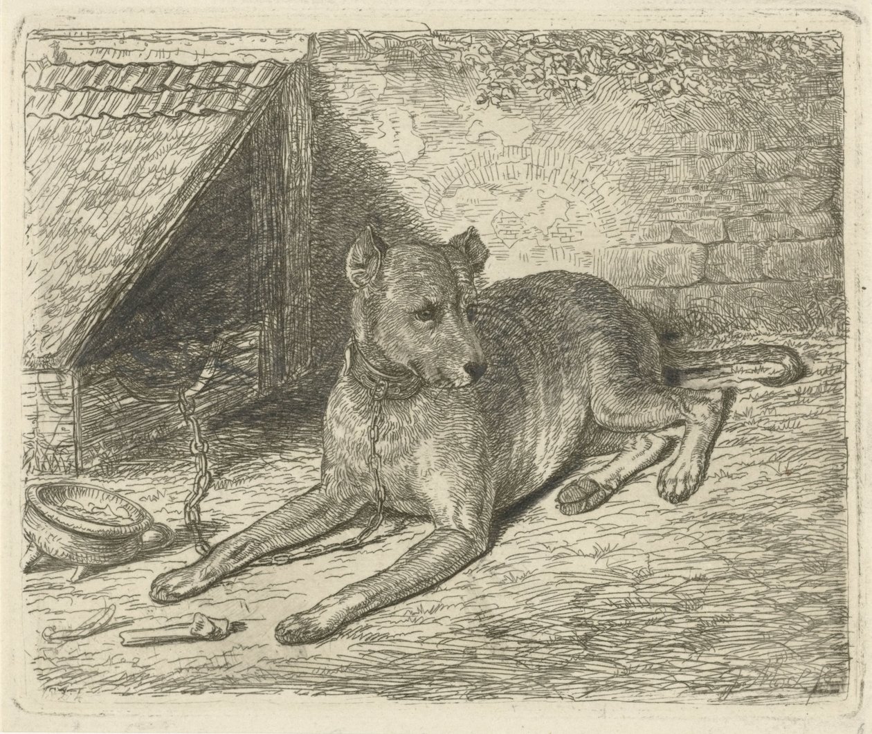 Chien enchaîné près d
