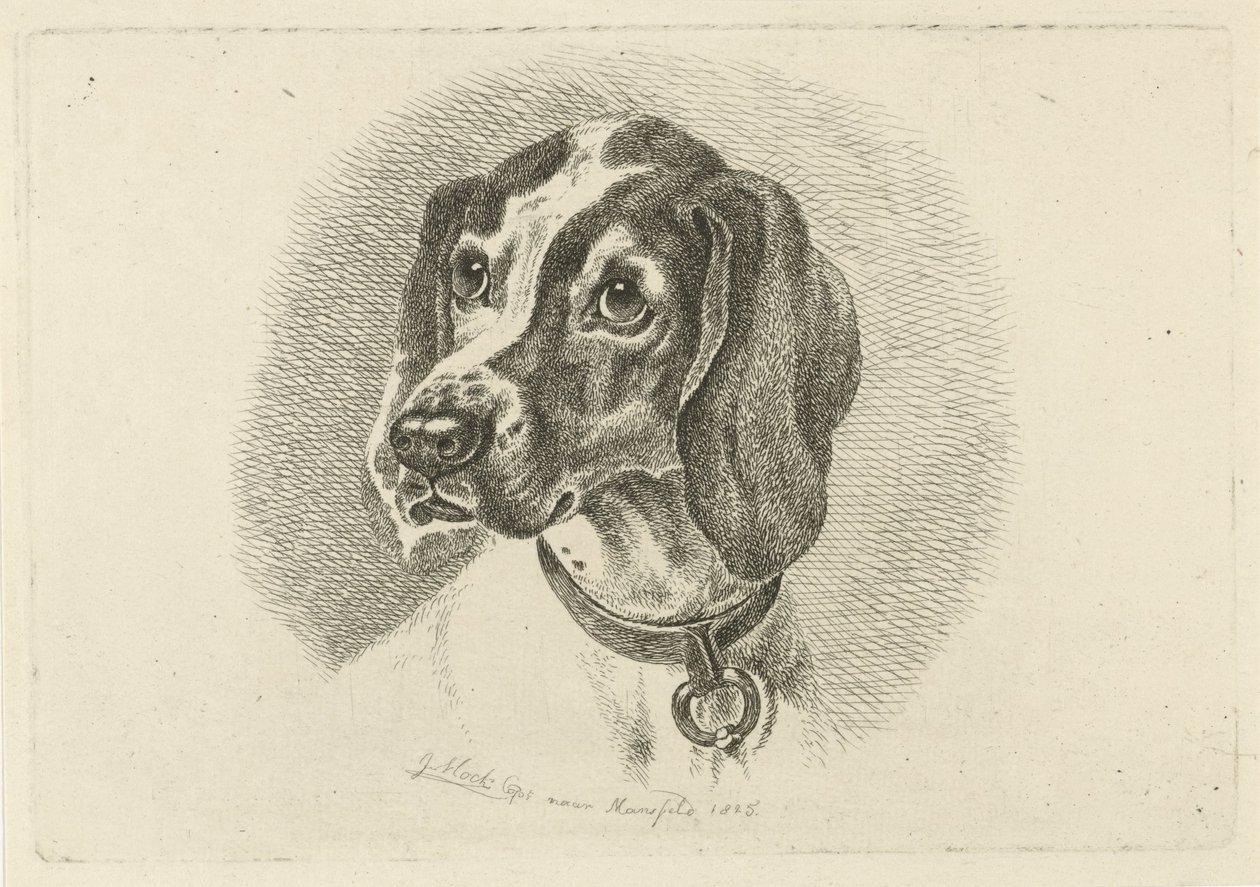 Tête de chien avec un collier avec anneau - Johannes Mock