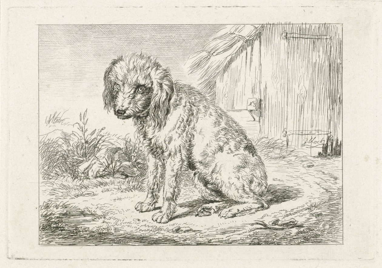Chien assis près d