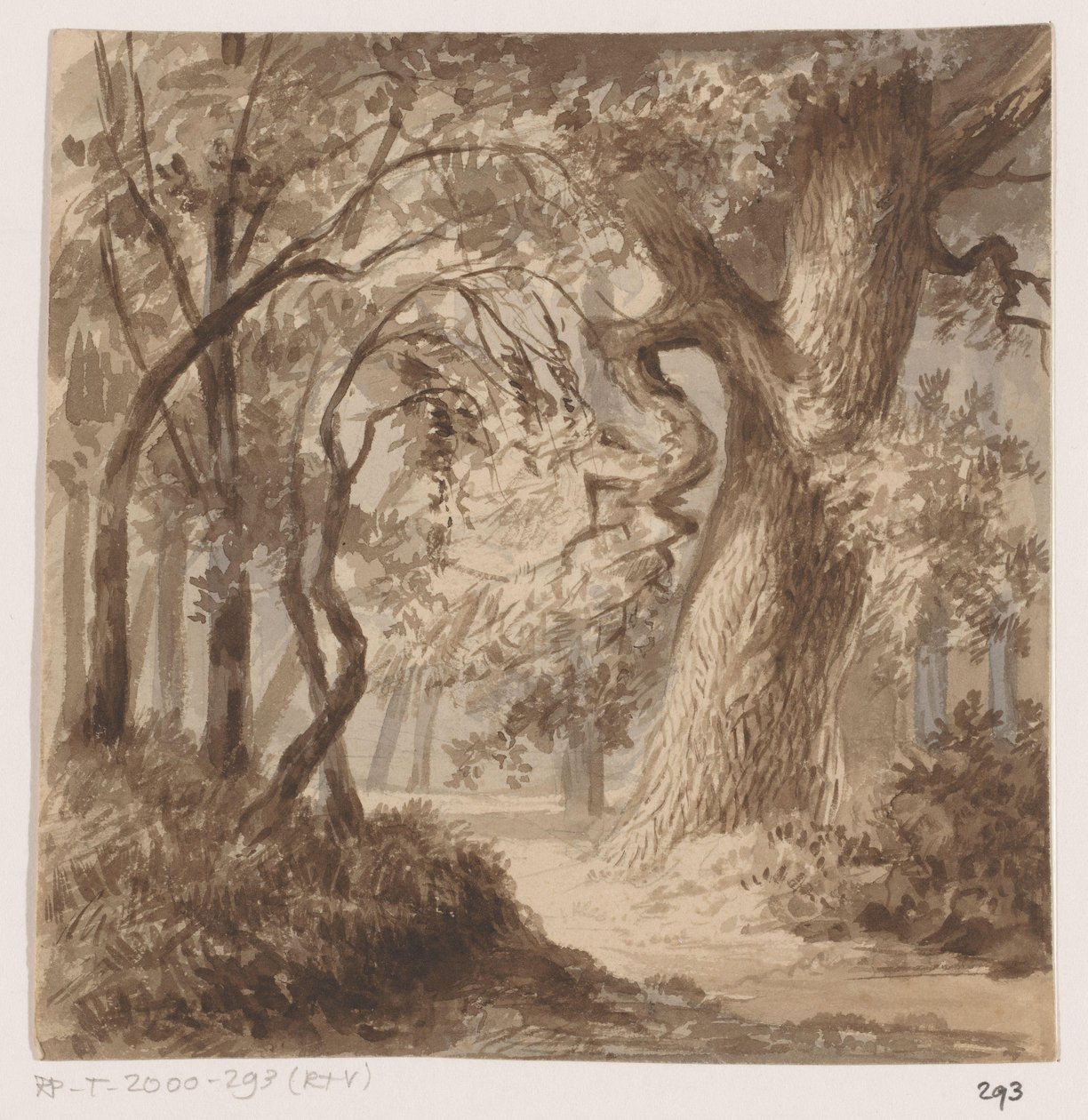 Paysage forestier - Johannes Tavenraat