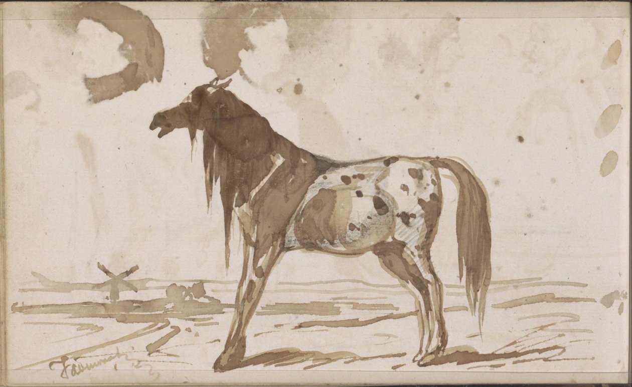 Paysage plat avec un cheval - Johannes Tavenraat