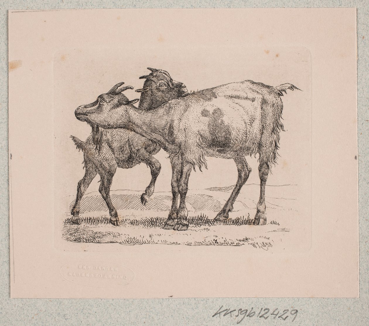 Une chèvre avec son chevreau - Johannes Wilhelm Zillen