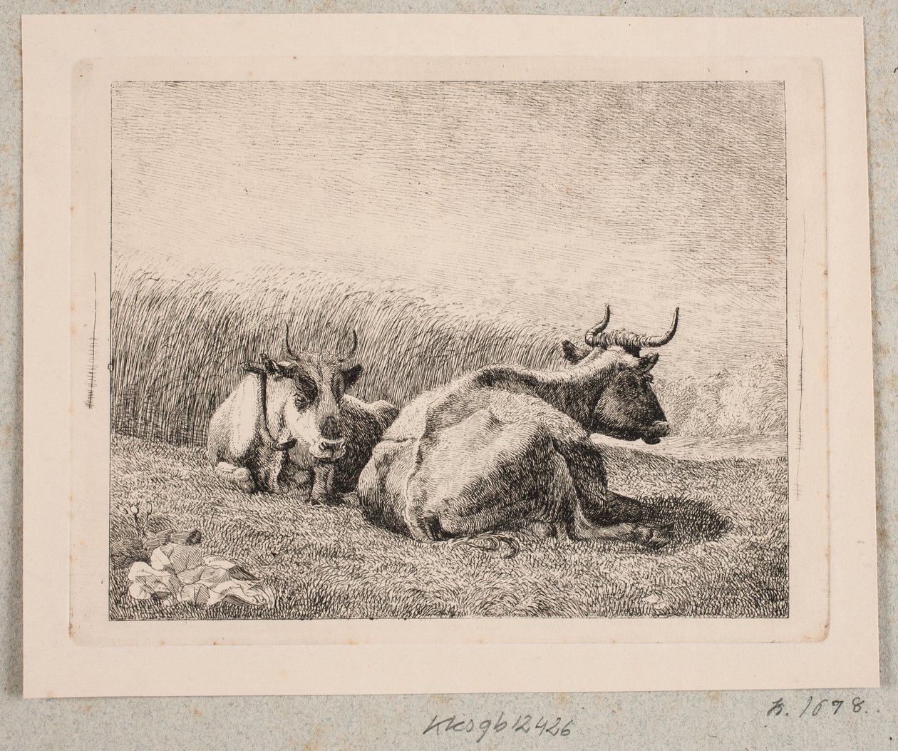 Deux Vaches au Repos - Johannes Wilhelm Zillen
