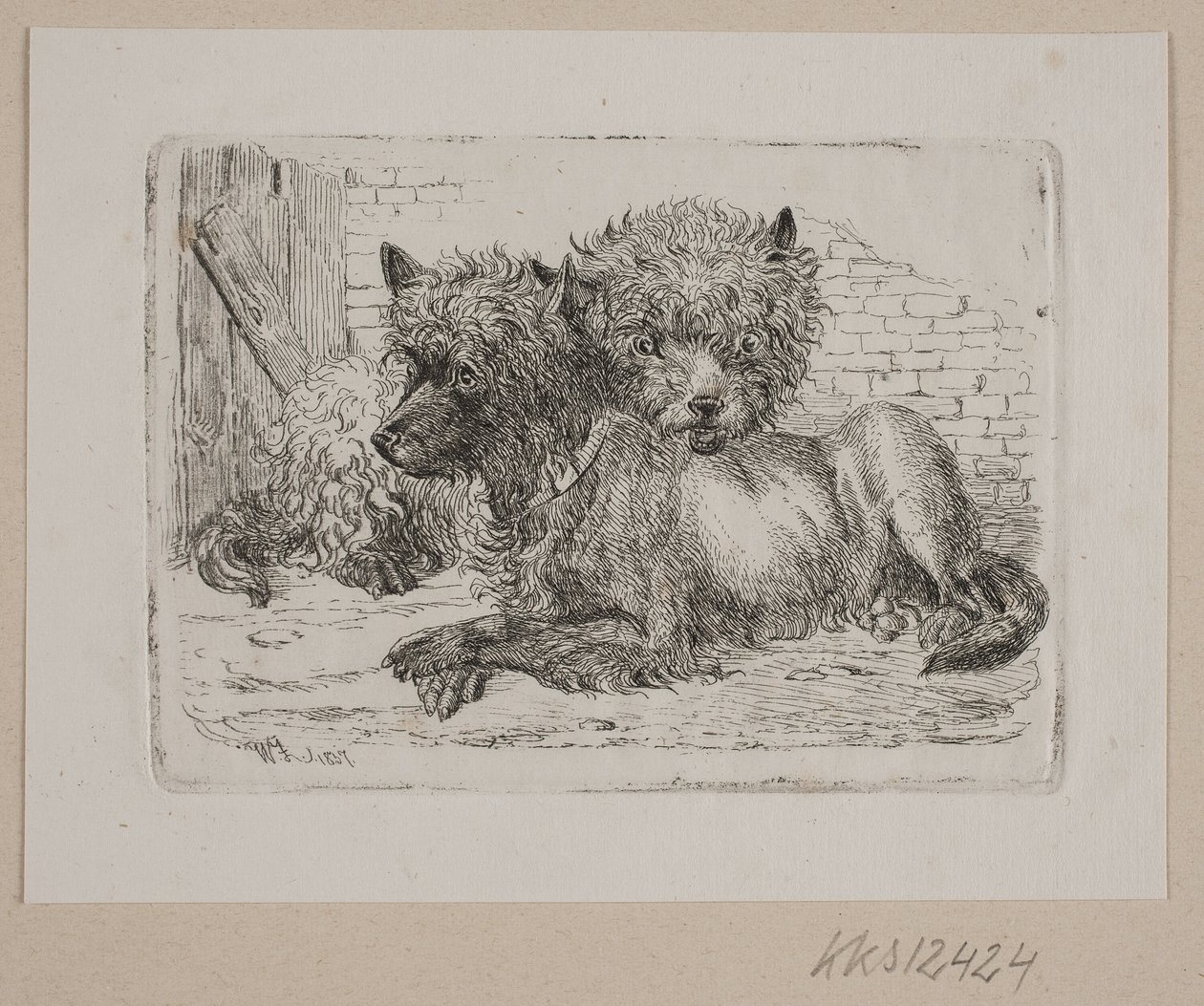 Deux chiens couchés - Johannes Wilhelm Zillen