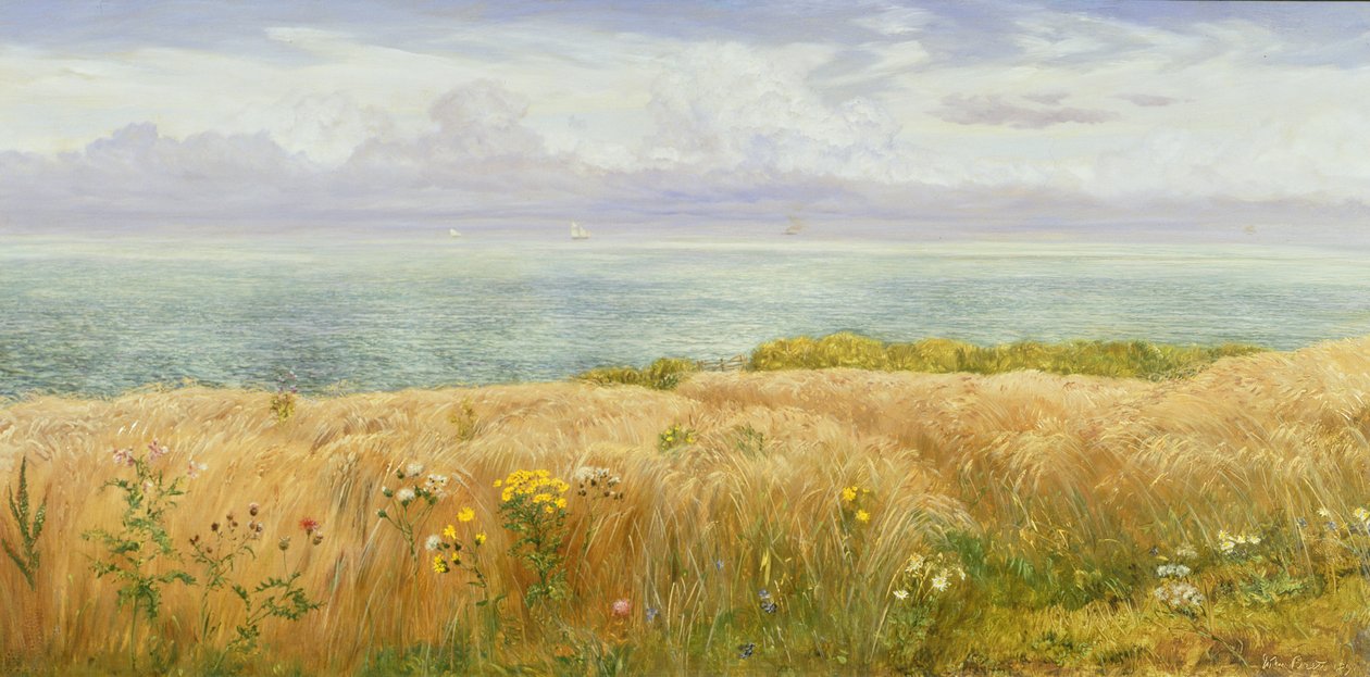 Été sur les falaises, 1891 - John Brett