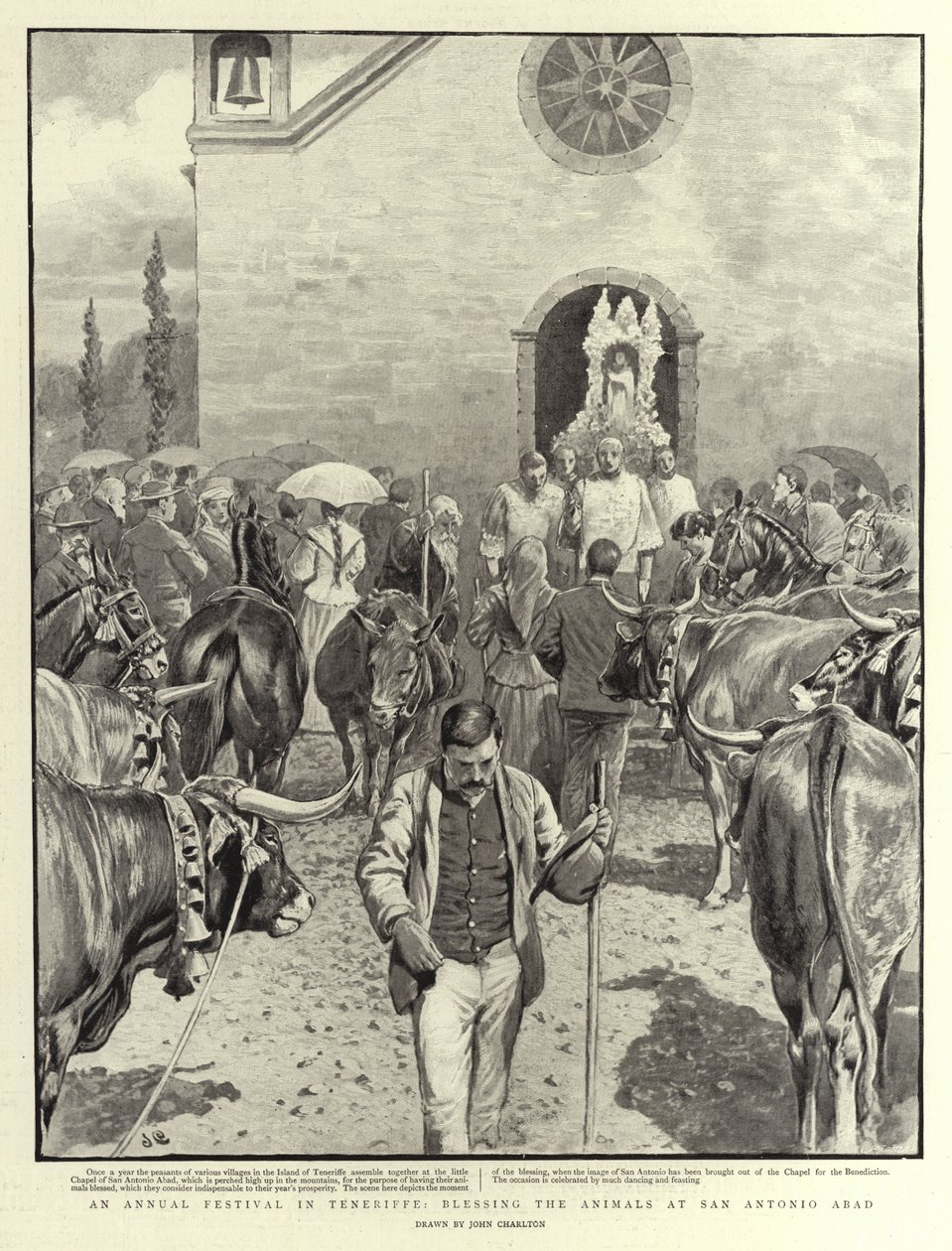 Un festival annuel à Ténériffe, bénédiction des animaux à San Antonio Abad - John Charlton