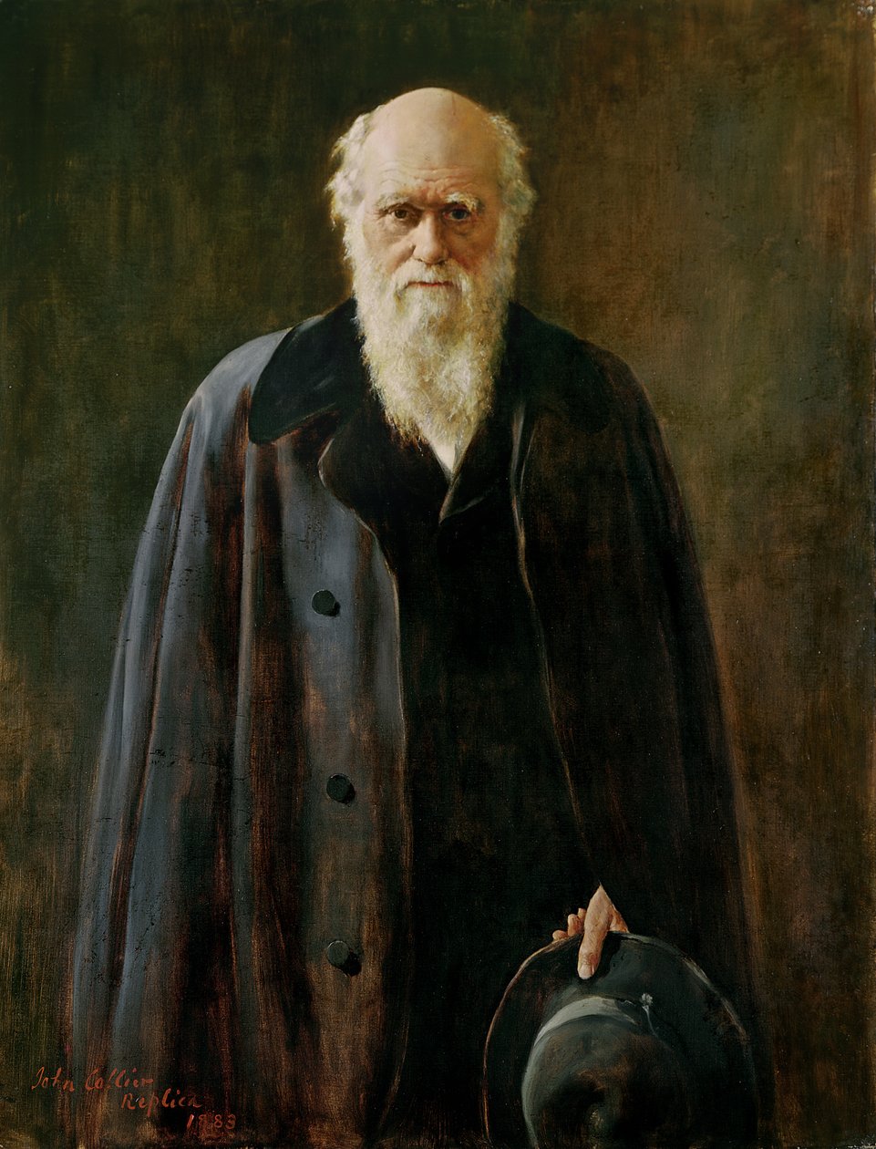 Portrait de Charles Darwin (1809-1882) 1883 - John Collier
