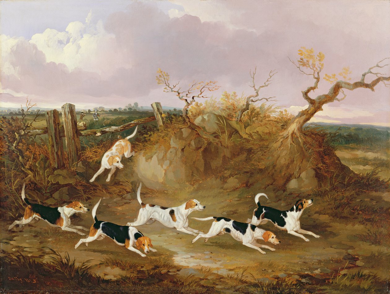Beagles en pleine course, 1845 - John Dalby