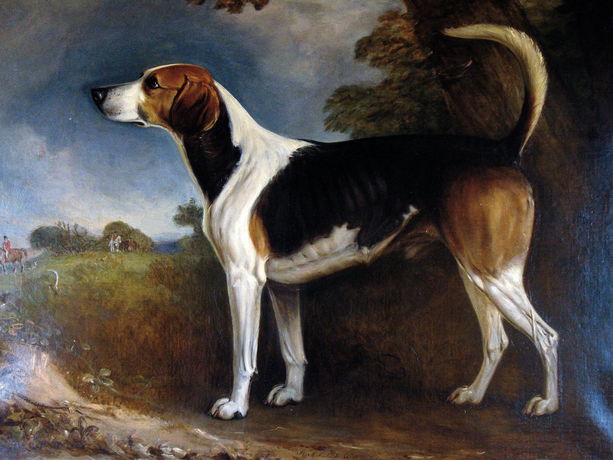 Rallywood, 1850 - John E. Ferneley