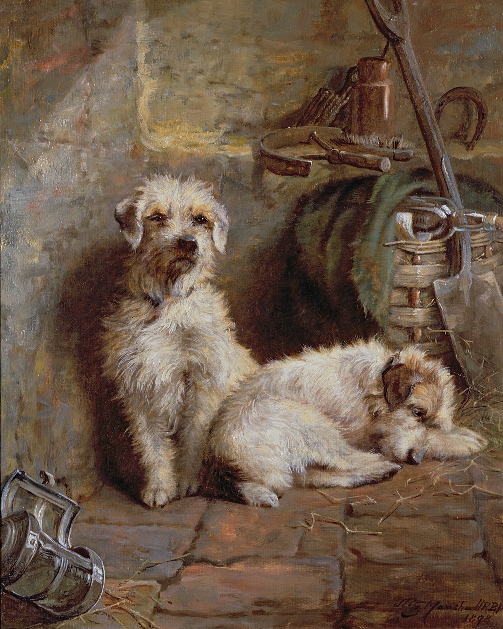 Compagnons d